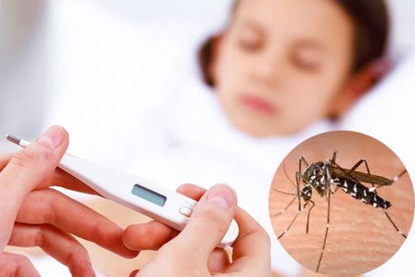 Cách chăm sóc trẻ mắc sốt xuất huyết tại nhà, cảnh giác biến chứng sốc dẫn đến tử vong