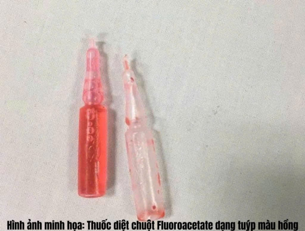 CẤP CỨU BÉ TRAI 18 THÁNG TUỔI NGUY KỊCH DO UỐNG NHẦM THUỐC DIỆT CHUỘT