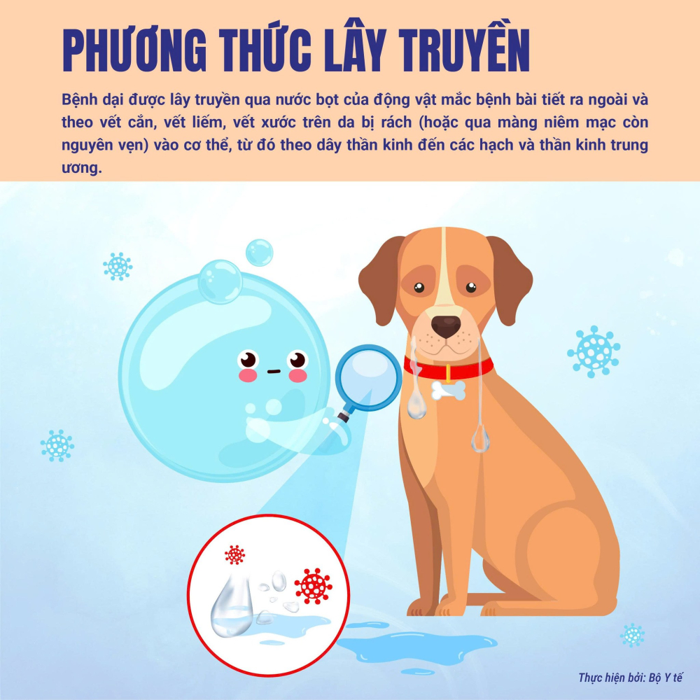 CẢNH BÁO NGUY HIỂM TỪ BỆNH DẠI – ĐỪNG CHỦ QUAN VỚI VẬT NUÔI